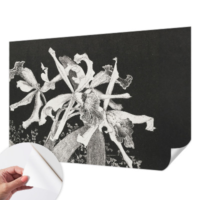 Samolepicí fototapeta do dětského pokoje Ilustrace orchideje