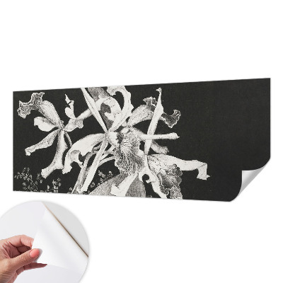 Samolepicí fototapeta do dětského pokoje Ilustrace orchideje