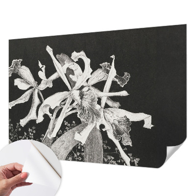 Samolepicí fototapeta do dětského pokoje Ilustrace orchideje