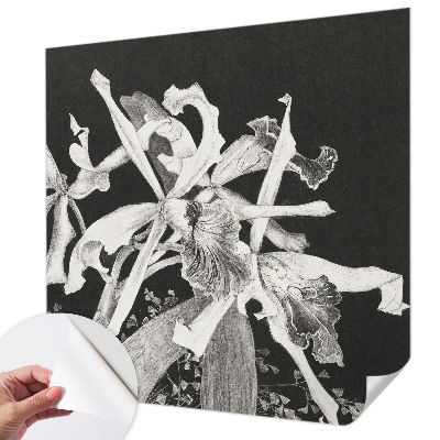 Samolepicí fototapeta do dětského pokoje Ilustrace orchideje