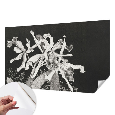 Samolepicí fototapeta do dětského pokoje Ilustrace orchideje