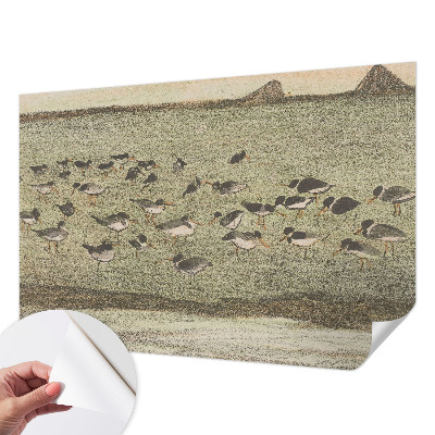 Samolepící fototapeta 3D s motivem s ptačím párem