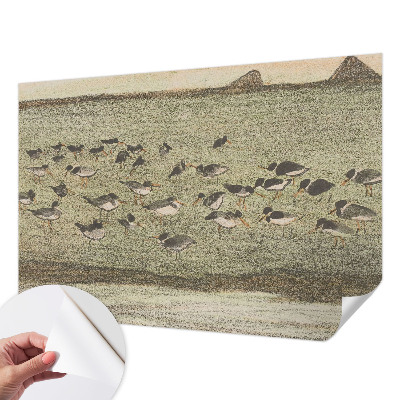 Samolepící fototapeta 3d Ptačí mír