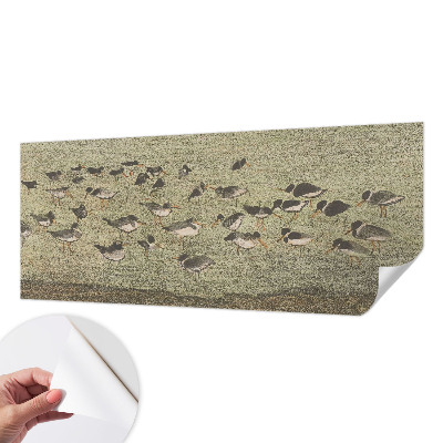 Samolepící fototapeta 3d Ptačí mír