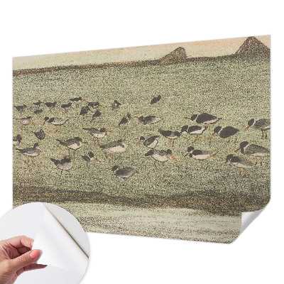 Samolepící fototapeta 3d Ptačí mír