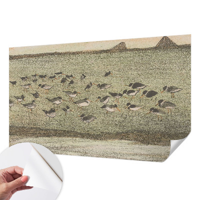 Samolepící fototapeta 3d Ptačí mír