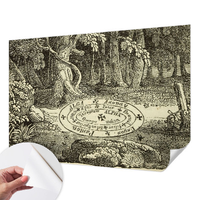 Dětská fototapeta Magický kruh