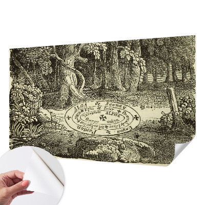 Dětská fototapeta Magický kruh