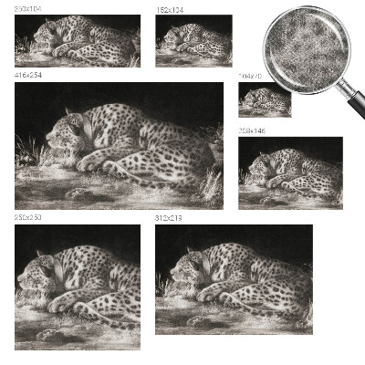Samolepící fototapeta 3d Leopard odpočívá