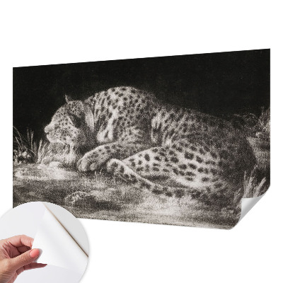 Samolepící fototapeta 3d Leopard odpočívá