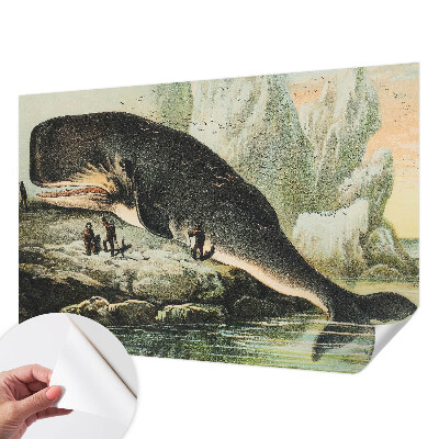 Samolepicí fototapeta do obýváků Mořský gigantismus