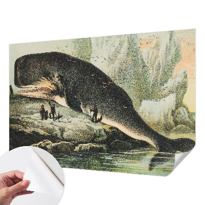 Samolepicí fototapeta do obýváků Mořský gigantismus