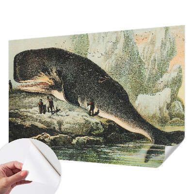 Samolepicí fototapeta do obýváků Mořský gigantismus