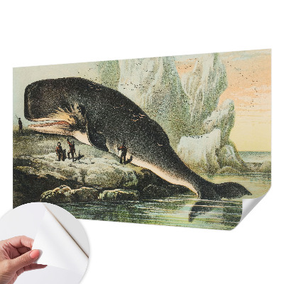 Samolepicí fototapeta do obýváků Mořský gigantismus