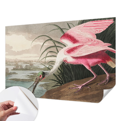 Fototapeta pro kluka s motivem exotického ptáka