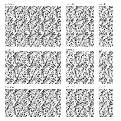 Protisluneční fólie na okna Tropické listy