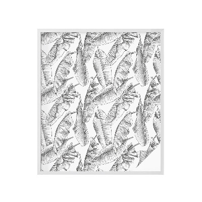 Protisluneční fólie na okna Tropické listy