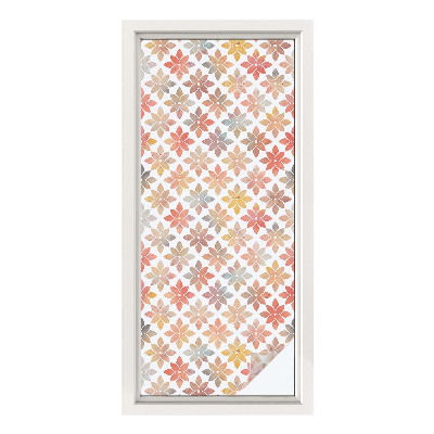 Neprůhledná fólie na sklo dveří Květinová krása