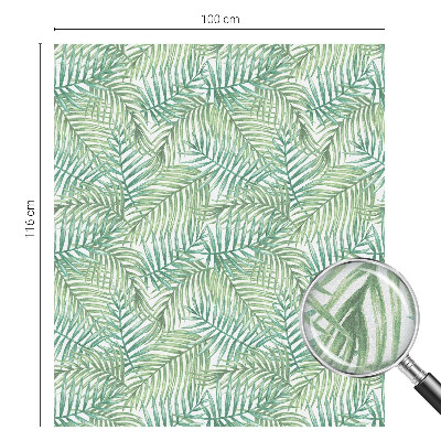 Dekorativní mléčná fólie na sklo Zelená kapradina