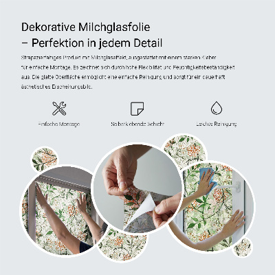 Dekorativní mléčná fólie na sklo Zelená kapradina