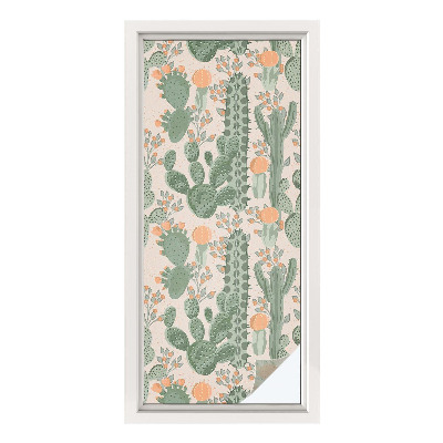 Neprůhledná fólie na sklo dveří Zelené sukulenty