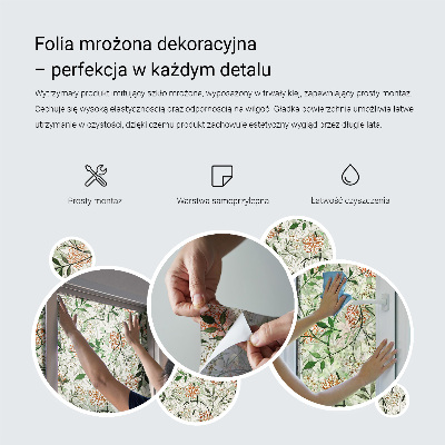 Privátní fólie na okno vitráž Zelená harmonie