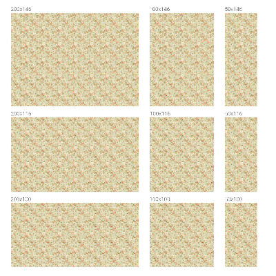 Protisluneční fólie na okna Květinová elegance