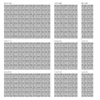 Zatmavovací fólie na okna Květinová elegance