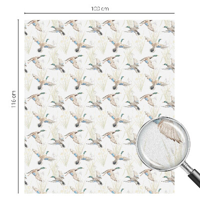 Dekorativní mléčná fólie na sklo Ptáci přírody