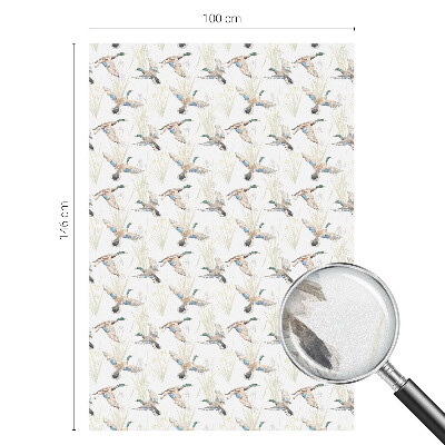 Dekorativní mléčná fólie na sklo Ptáci přírody