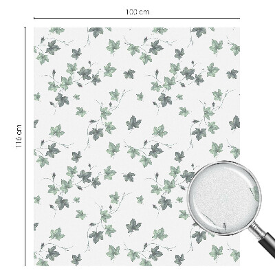 Protisluneční fólie na okna Zelená vinná réva