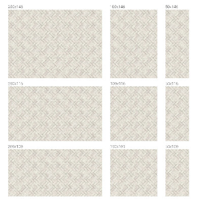 Neprůhledná fólie na sklo dveří Motiv rybí kosti