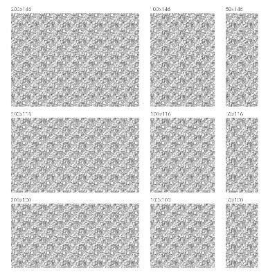 Dekorativní mléčná fólie na sklo Klasické portréty