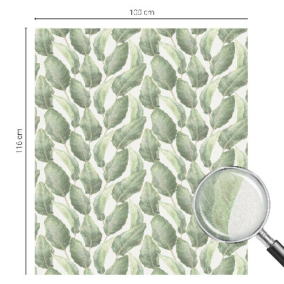 Neprůhledná fólie na sklo dveří Zelené listy