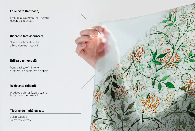 Privátní fólie na okno vitráž Symetrické ornamenty