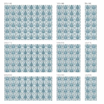 Neprůhledná fólie na sklo dveří Květinový vzor