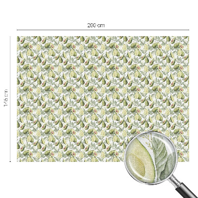 Neprůhledná fólie na sklo dveří Avokádové listy