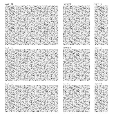 Privátní fólie na okno vitráž Ptáci a květiny