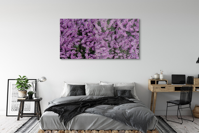 akrylový obraz fialové květy