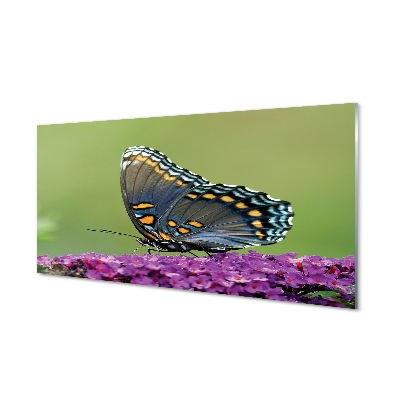 akrylový obraz Barevný motýl na květiny