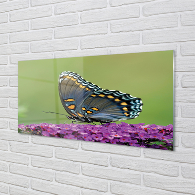 akrylový obraz Barevný motýl na květiny