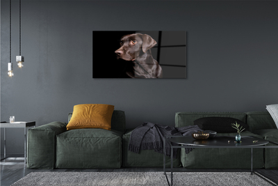 akrylový obraz hnědý pes