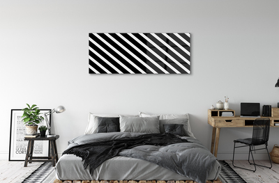 akrylový obraz zebra pruhy