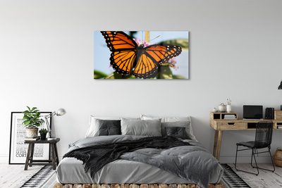 akrylový obraz barevný motýl