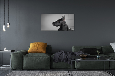 akrylový obraz Černý pes