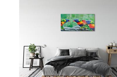 akrylový obraz Barevný papoušek stromu