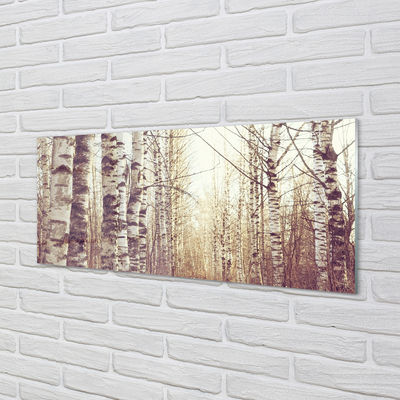 akrylový obraz stromy