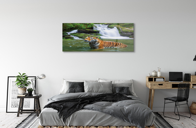 akrylový obraz tygr vodopád