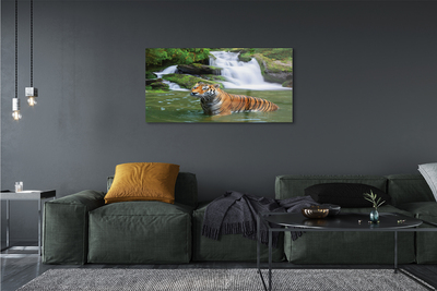 akrylový obraz tygr vodopád