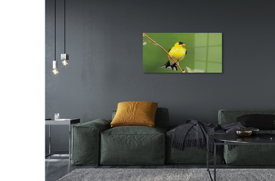 akrylový obraz žlutý papoušek